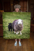 JUMBO ART - TOY SHEEP FAMILY  - HUGE 1 Metre Square Canvas